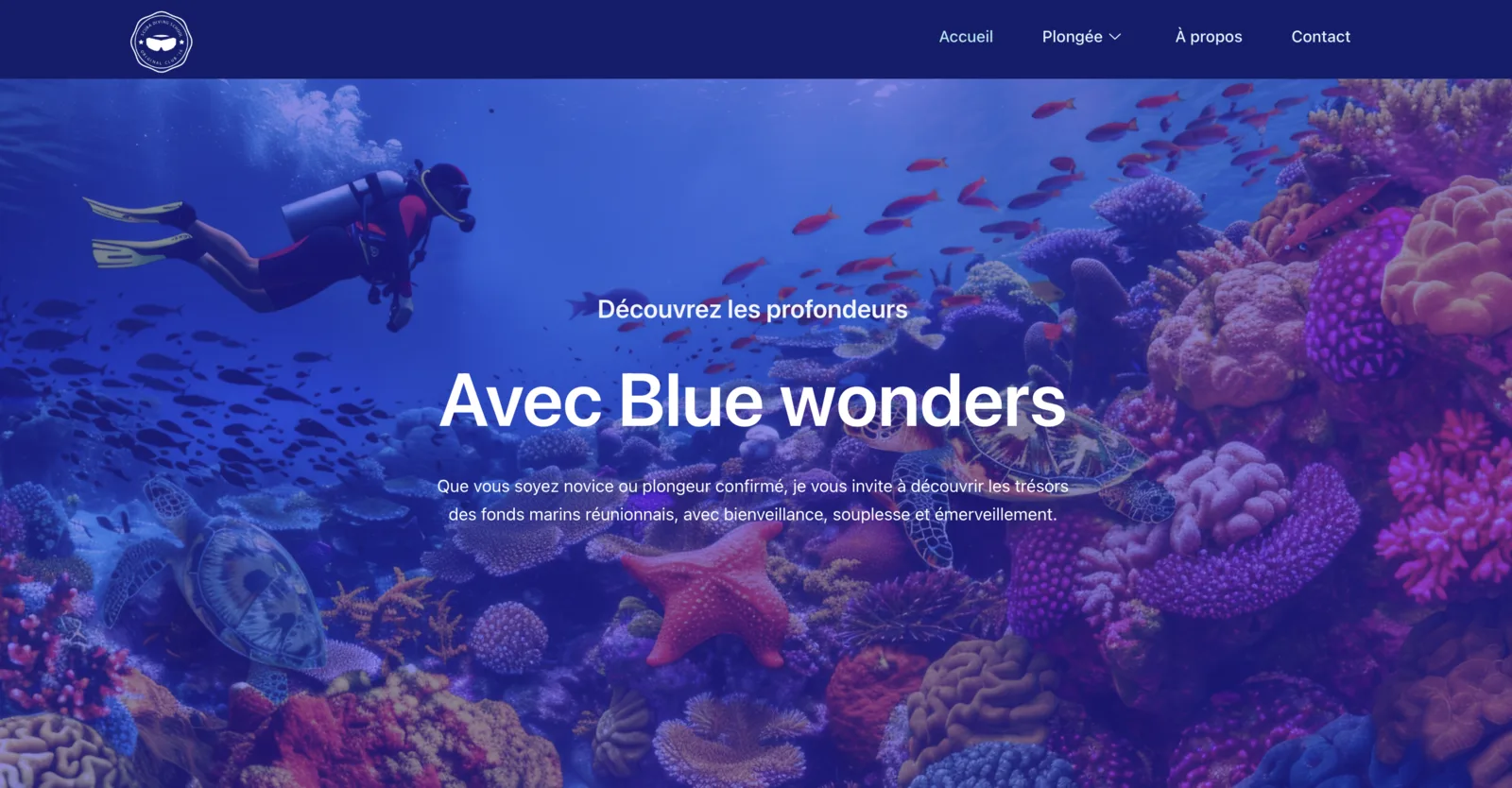 Site Blue Wonders